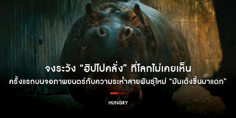 ลบภาพจำแสนน่ารัก และจงระวัง “ฮิปโปคลั่ง” ที่โลกไม่เคยเห็น ครั้งแรกบนจอภาพยนตร์กับความระห่ำสายพันธุ์ใหม่ “Hungry มันเด้งขึ้นมาแดก” 18 มิถุนายนนี้